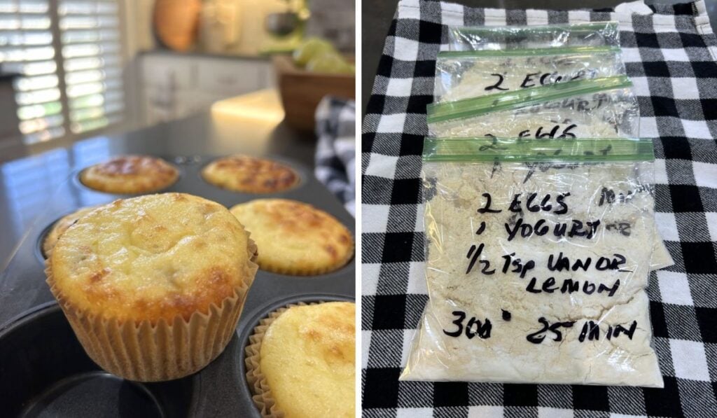protein muffin recipe updated