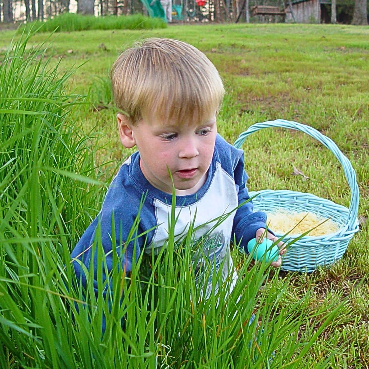 AJ hunting Easter Eggs in the backyard