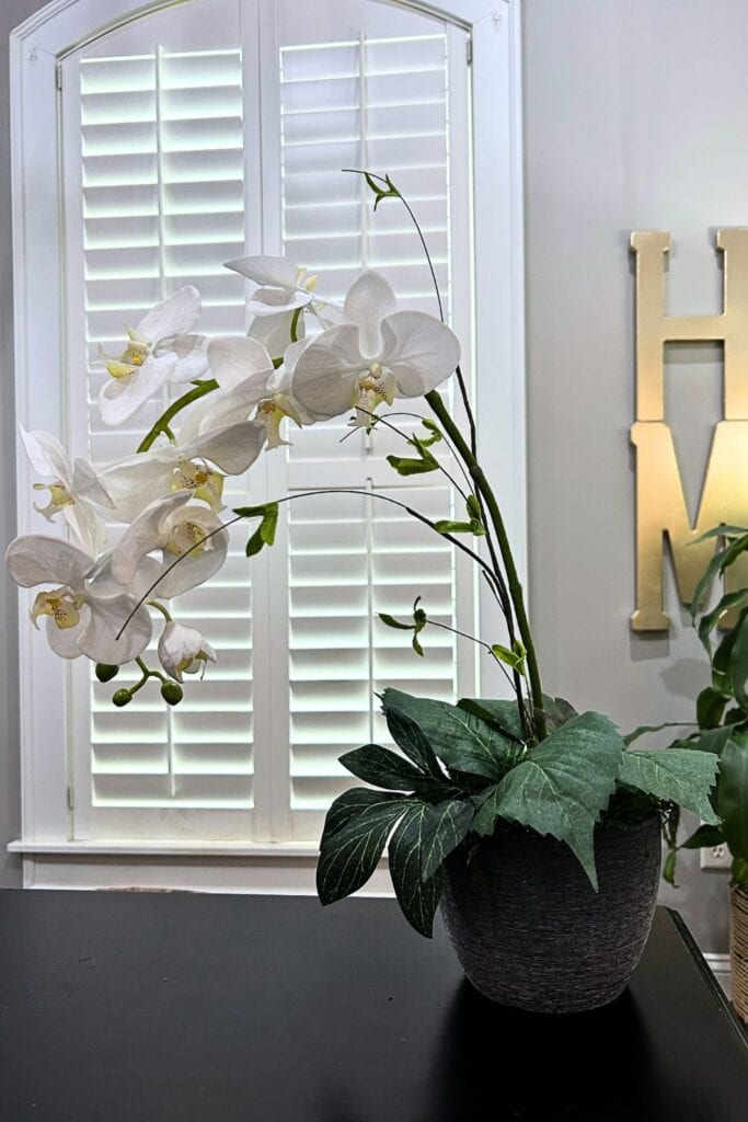 simple orchid floral arrangement sitting on my desk