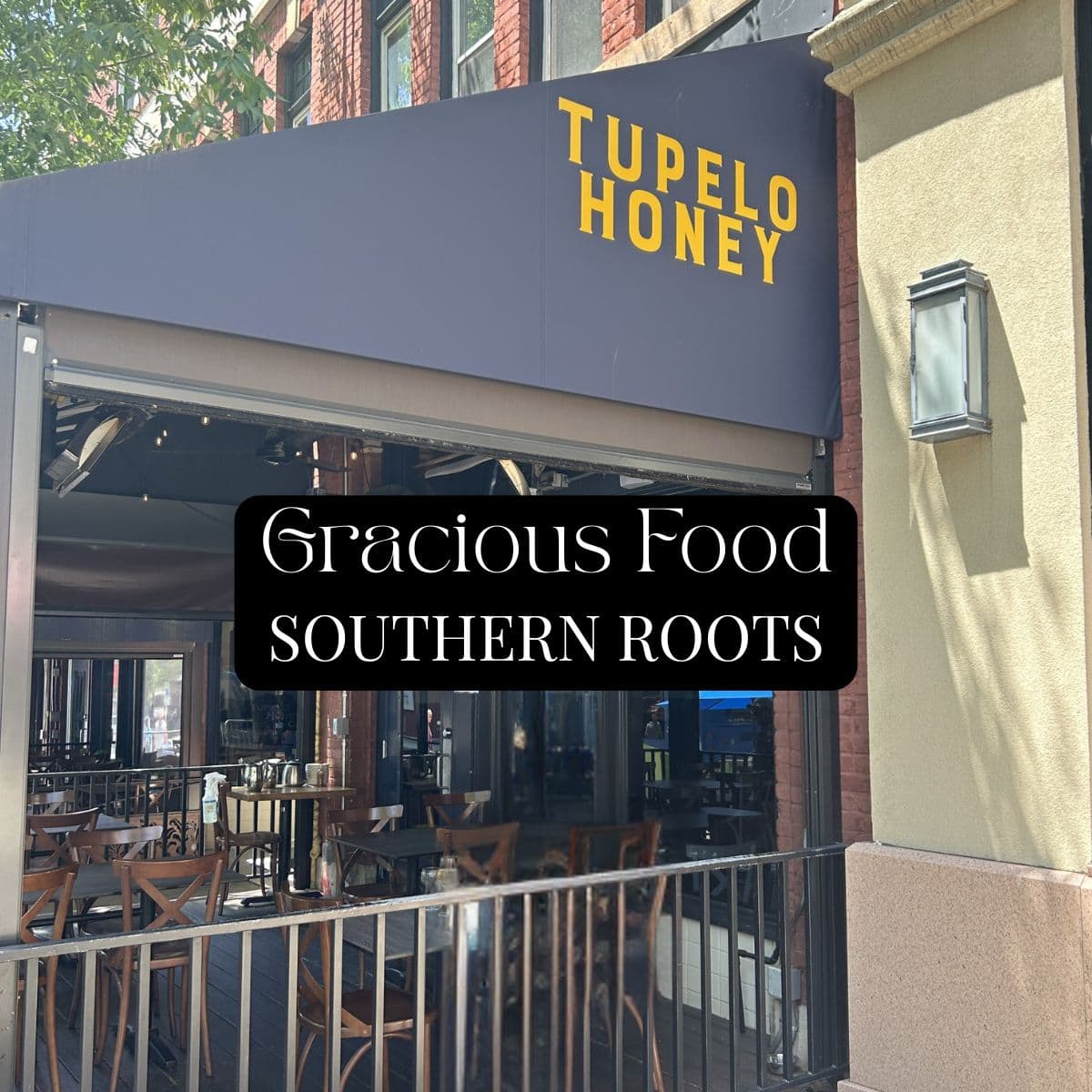 Tupelo Honey Cafe in Asheville, NC, gracious food, southern roots