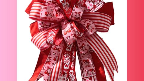 red pink and white valentine bow is an example of a monochromatic color theme