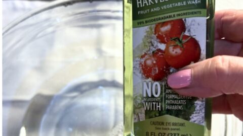 Harvest Pure Fruit and Vegetable Wash