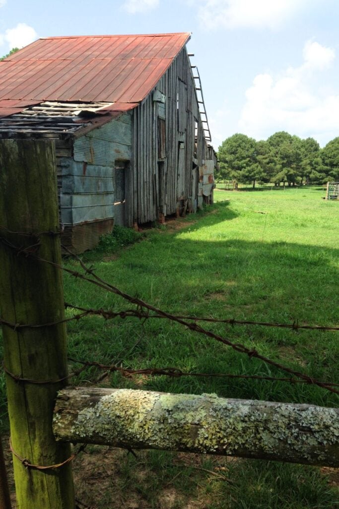 an old barn and pasture we saw riding our e-trikes on the Tanglefoot Trail