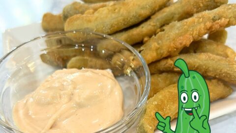 dill pickle fries and dipping sauce