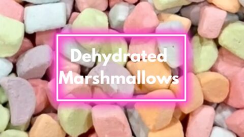 dehydrated marshmallows