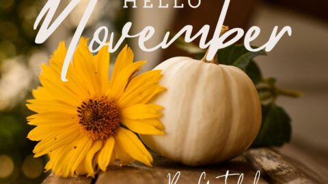 sunflower and pumpkin November to do List