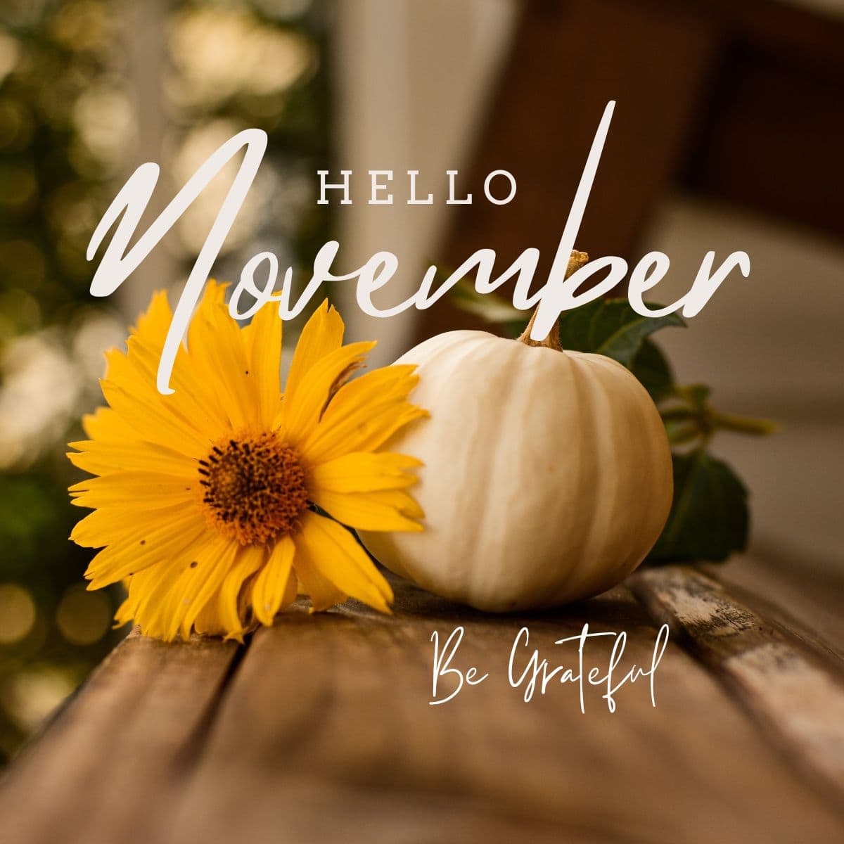 sunflower and pumpkin November to do List