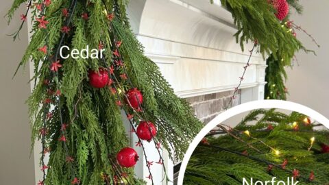 Easy Mantel Decorating Ideas: Cedar, Norfolk Pine & Pops of Red