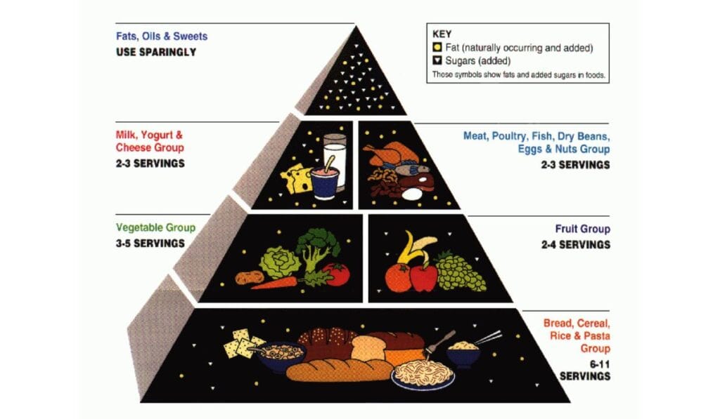 the food pyramid