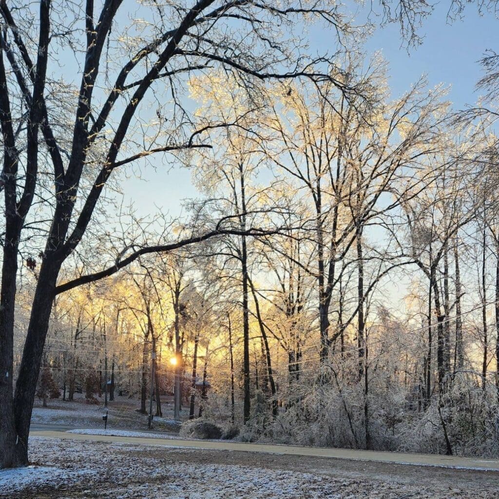 ice storm day 5