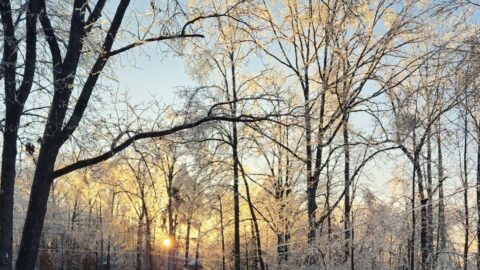 ice storm day 5
