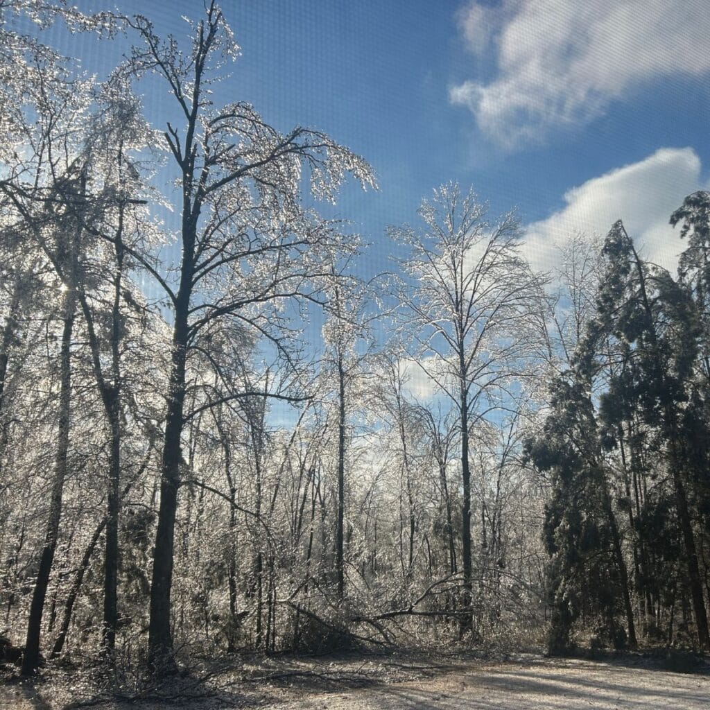 ice storm 2026