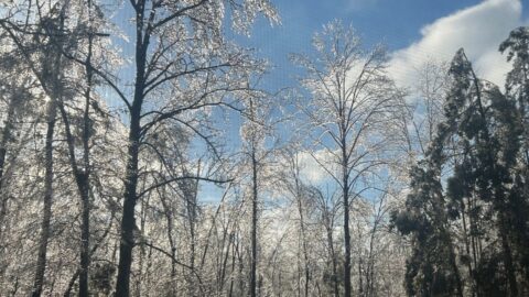 ice storm 2026