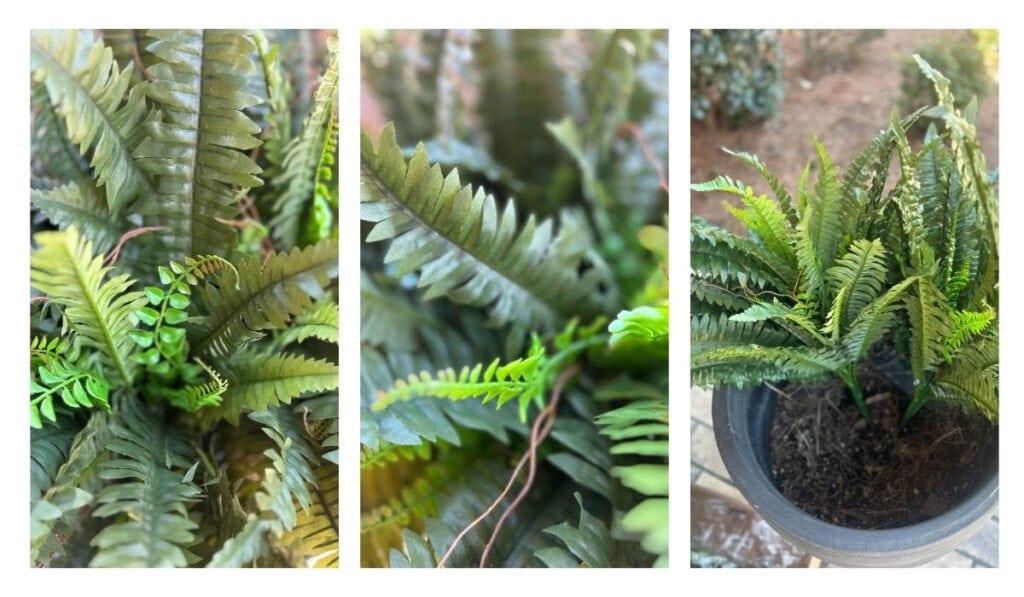 close up details of artificial ferns