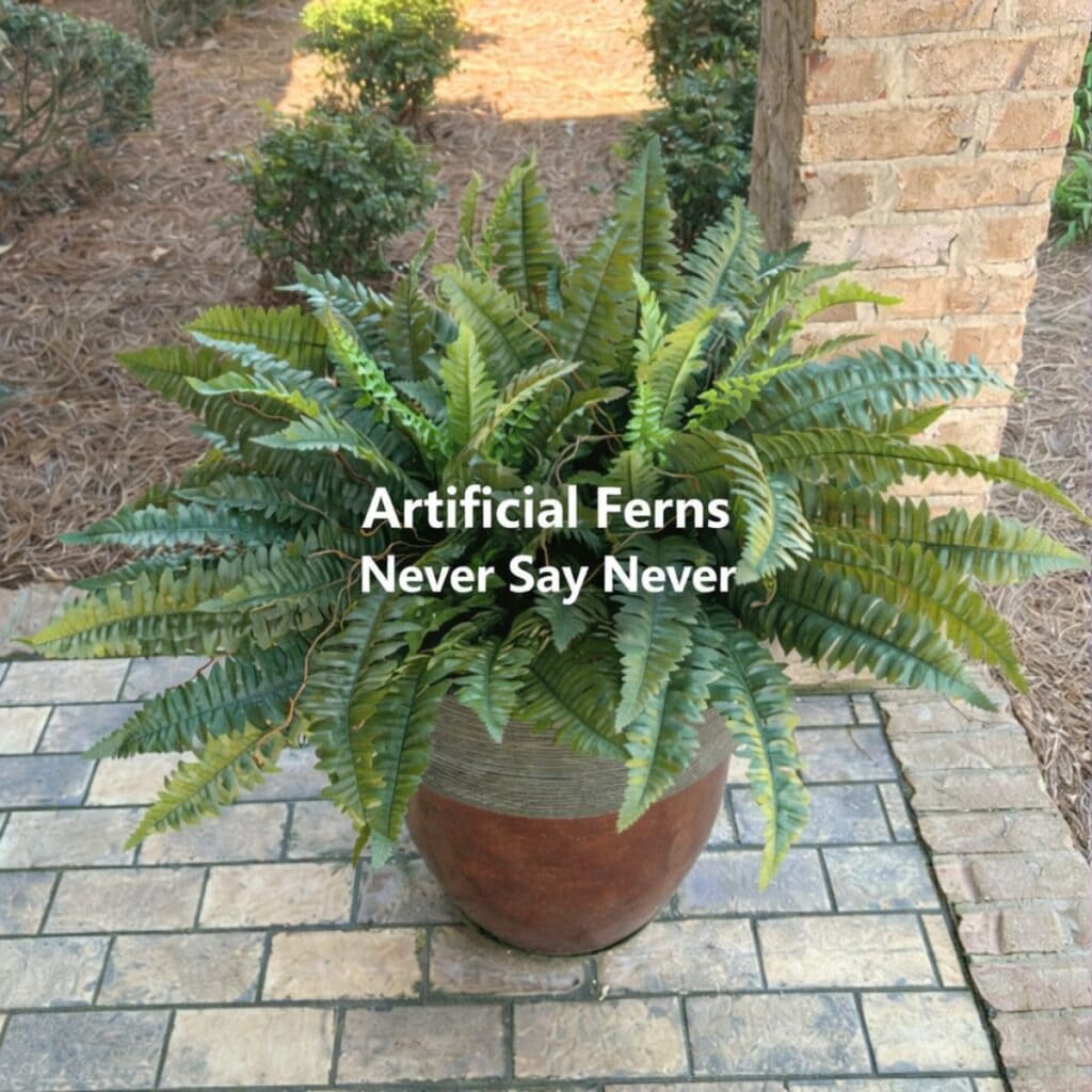 artificial ferns in a large pot