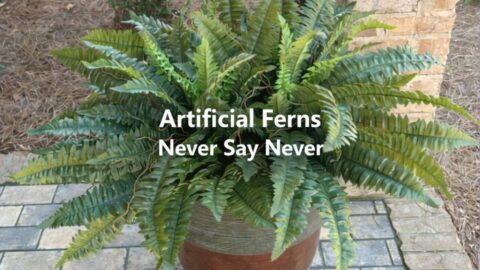 artificial ferns in a large pot