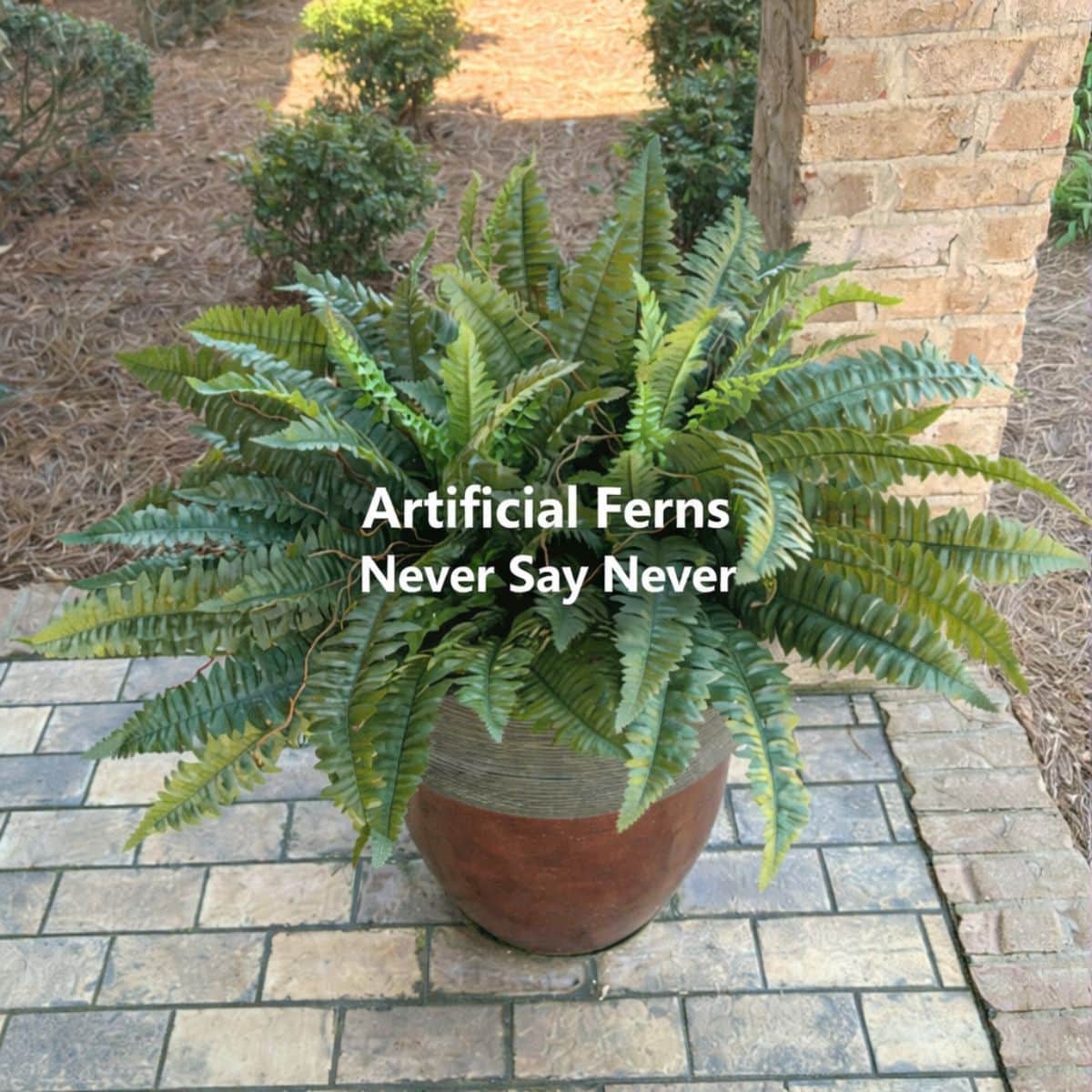 artificial ferns in a large pot