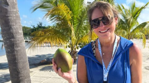 fresh coconut in Belize