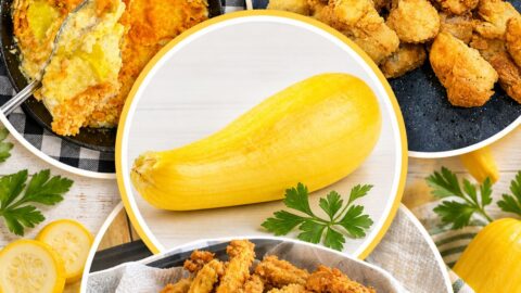 3 Favorite Southern Squash Recipes to Try This Season