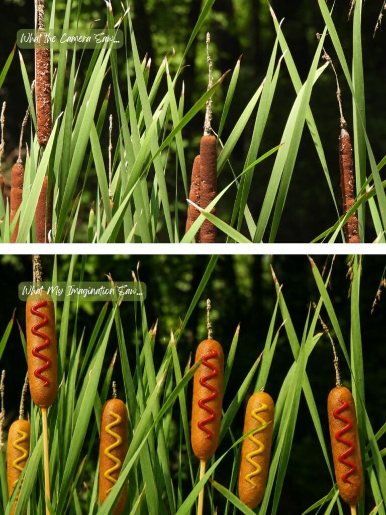 Cattails; Corndogs....could be