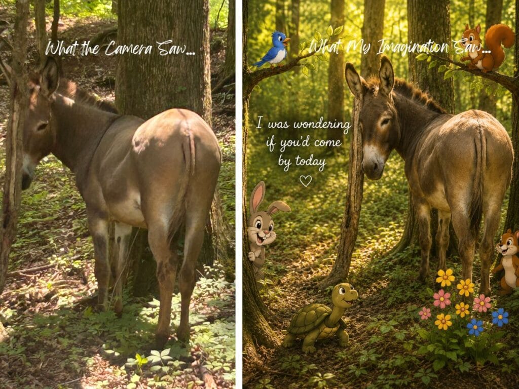 What my imagination, a donkey staring at us as we biked down the Tanglefoot trail