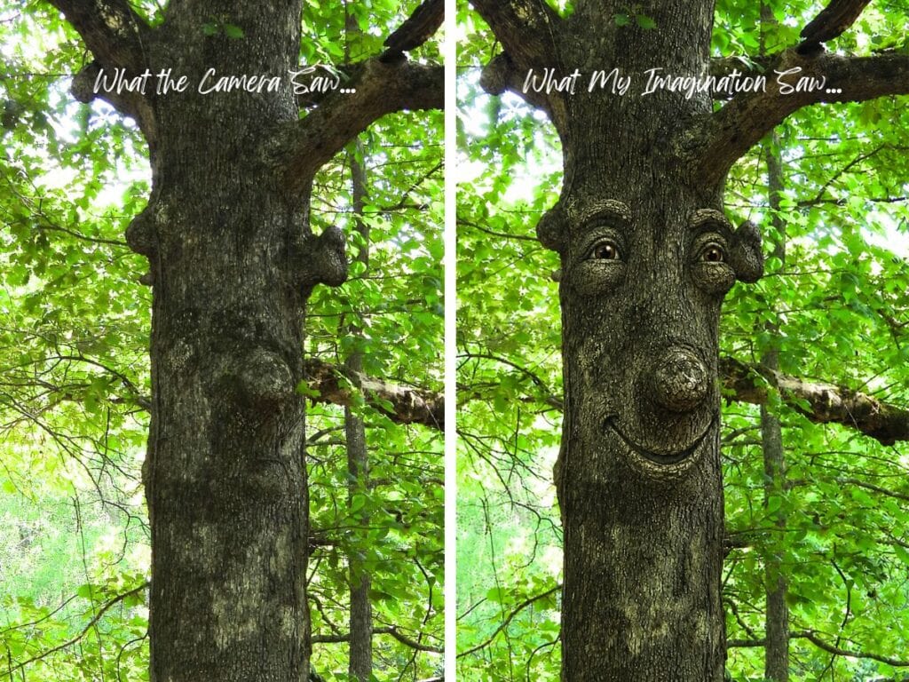 What my imagination, a tree with some knot holes. or a funny welcoming back in the woods