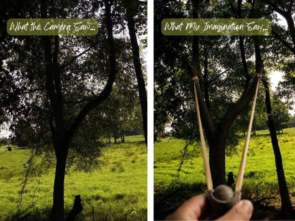 what my imagination, a tree could make a perfect slingshot