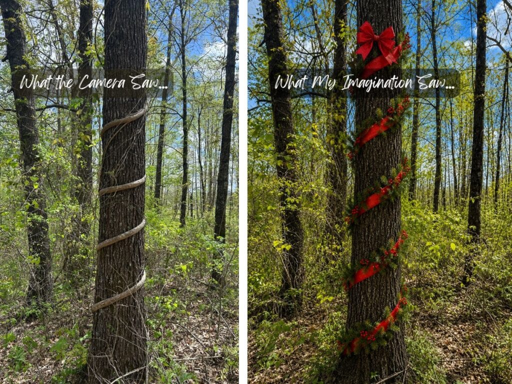 what my imagination, a tree with a vine growing around the tree like a garland