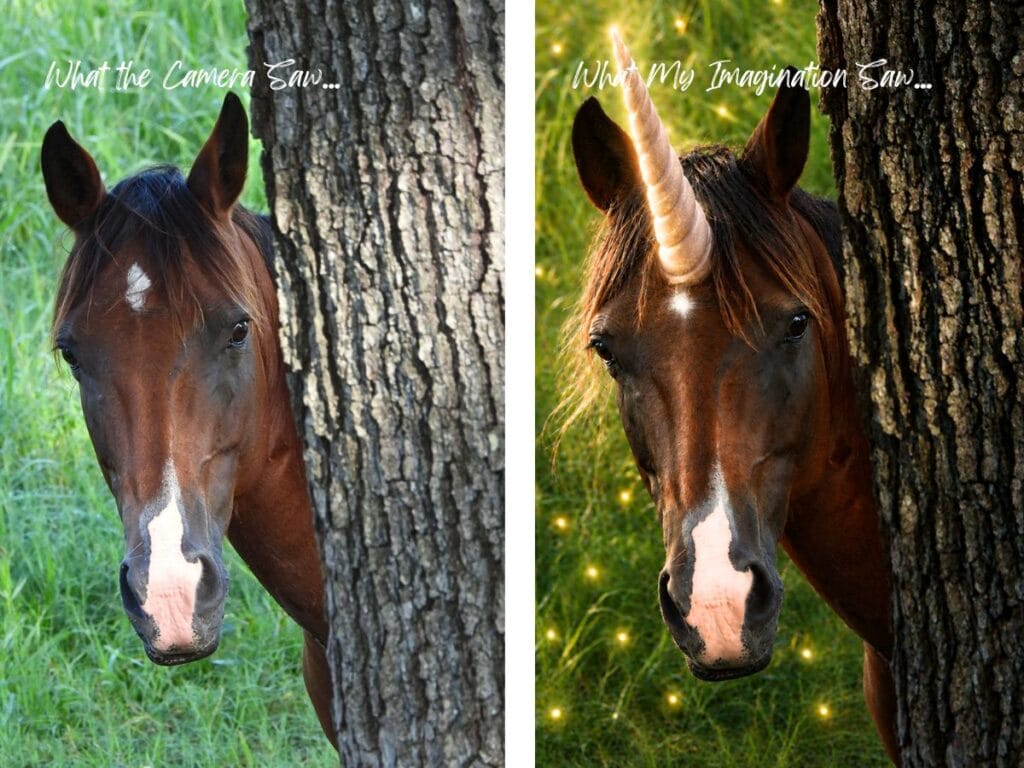 My camera saw a horse, my imagination saw a unicorn
