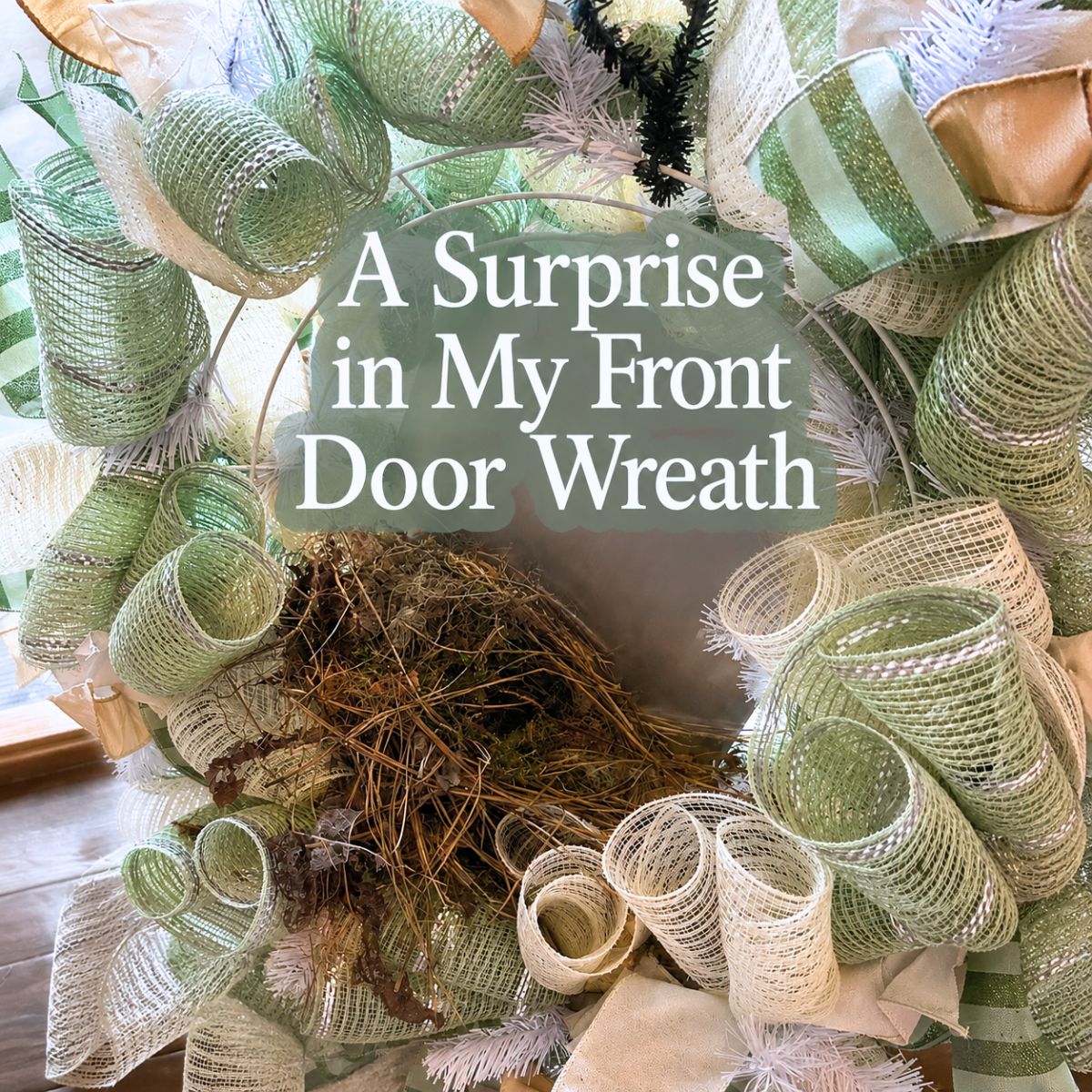 bird nest in my wreath