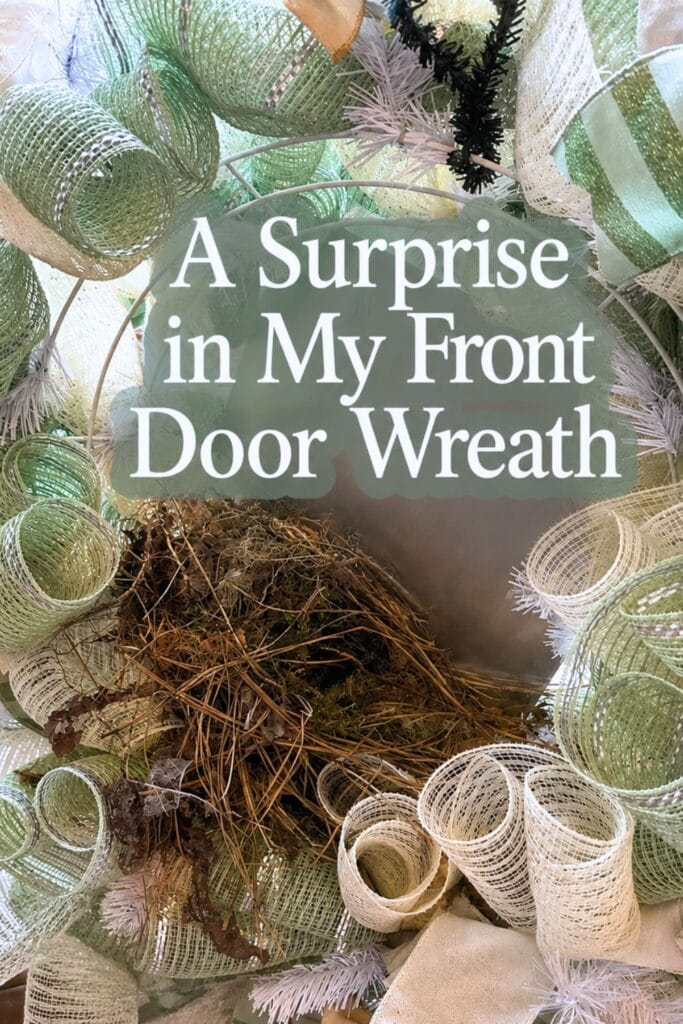 bird nest in my wreath