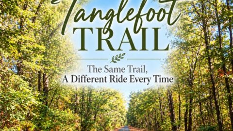 tanglefoot trail, same trail, but different ride each time